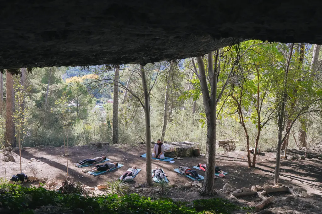 Sesión de yoga en la naturaleza