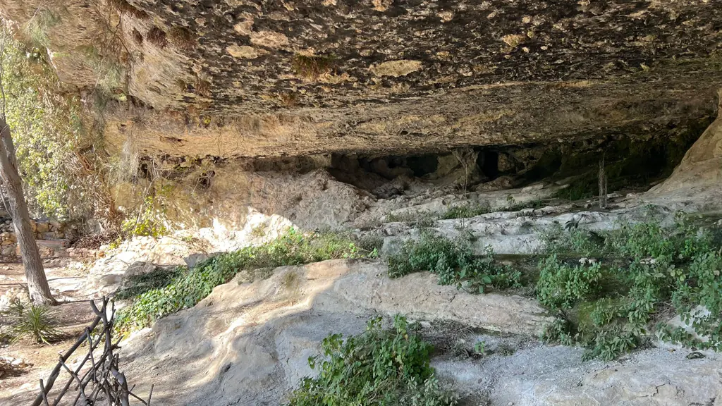 Cueva